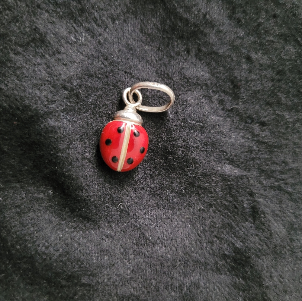 Lady bug charm 🐞 *READ DETAILS *